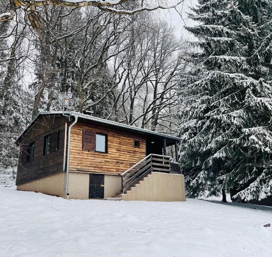 Chata Adam U Lipna Horní Planá Esterno foto
